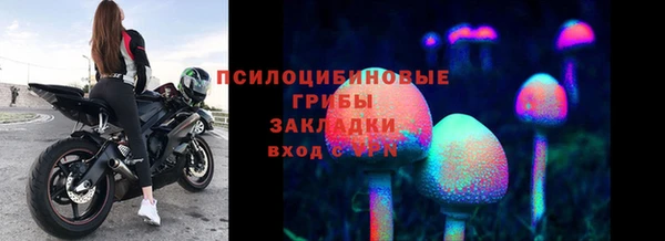 ALPHA-PVP Алексеевка