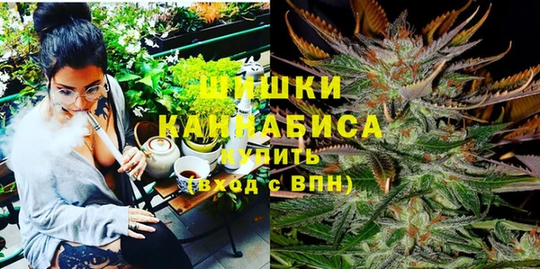сатива Гусев